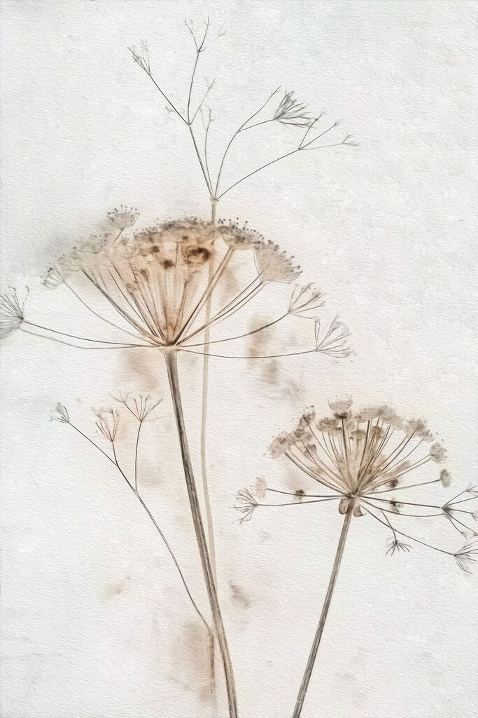 Delicate flowers in soft watercolor tones