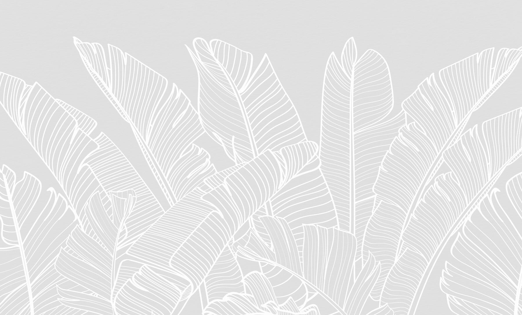 White line drawing of leaves