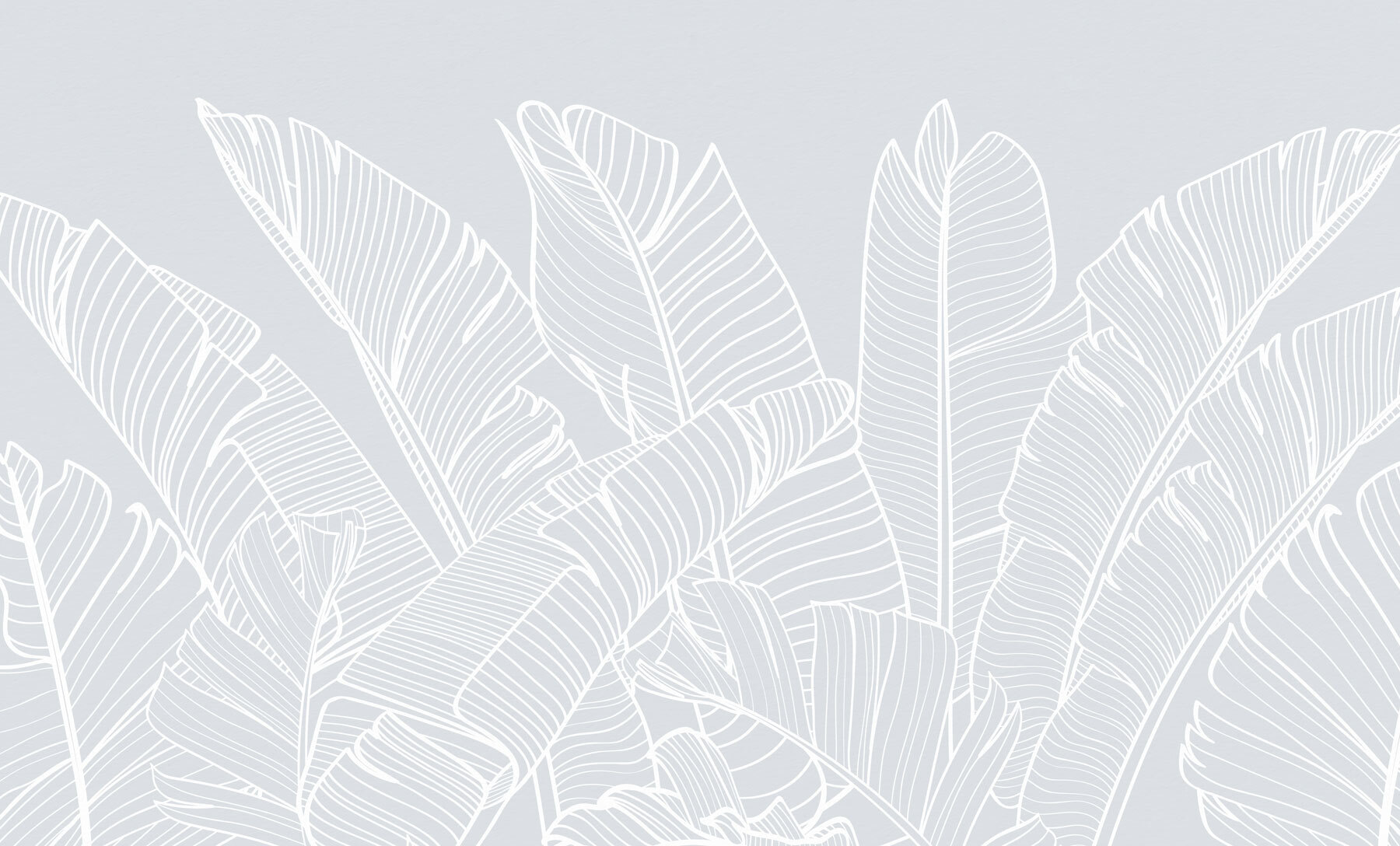 White line drawing of leaves