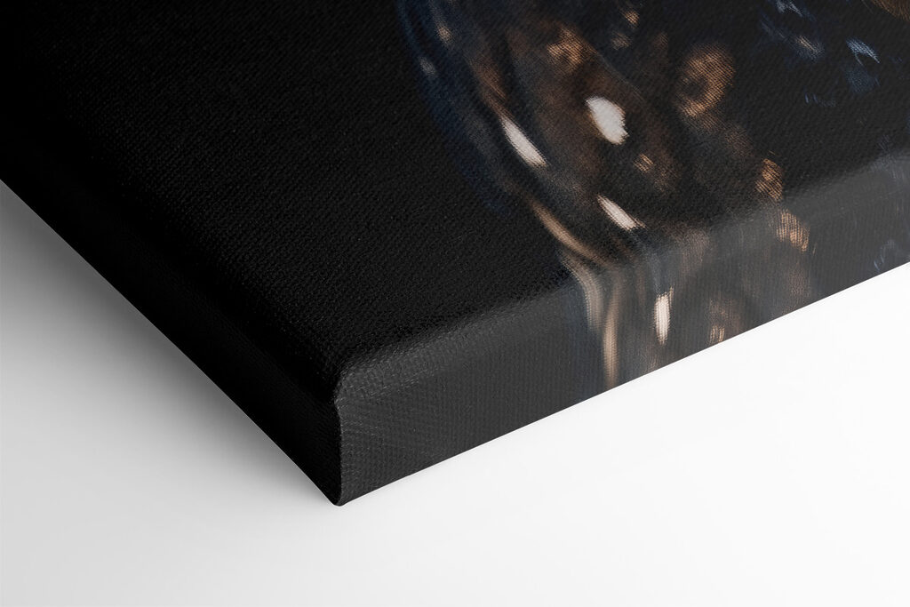 Close up of an owl Close up of an owl