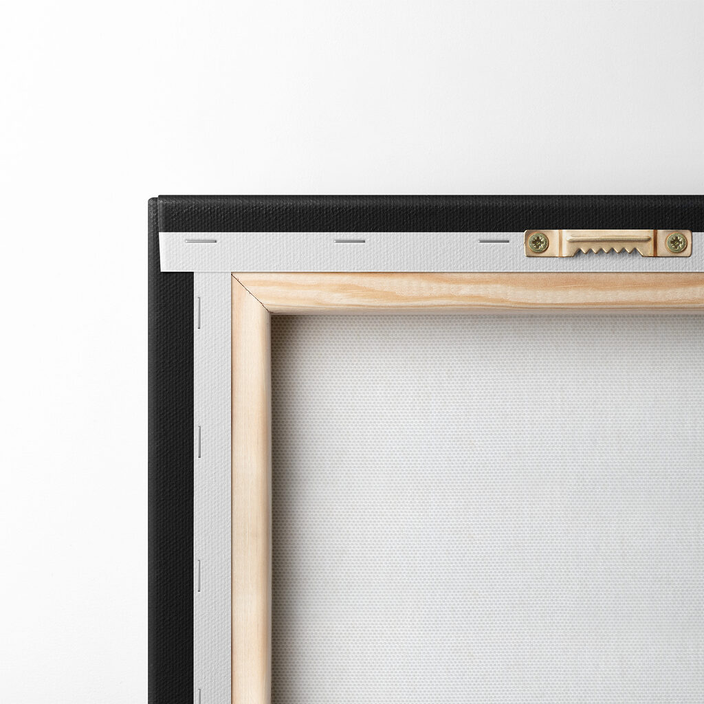 Close up of an owl Close up of an owl