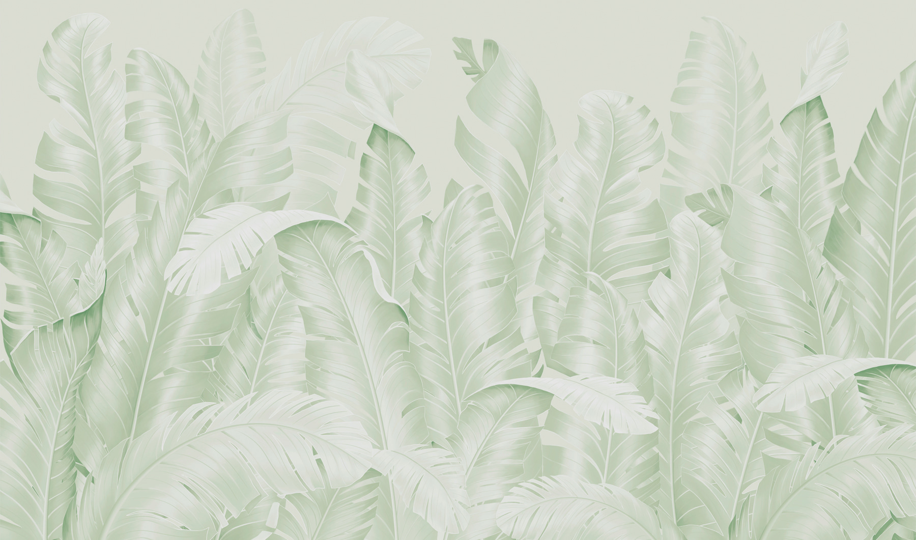 Group of leaves on a white background Group of leaves on a white background