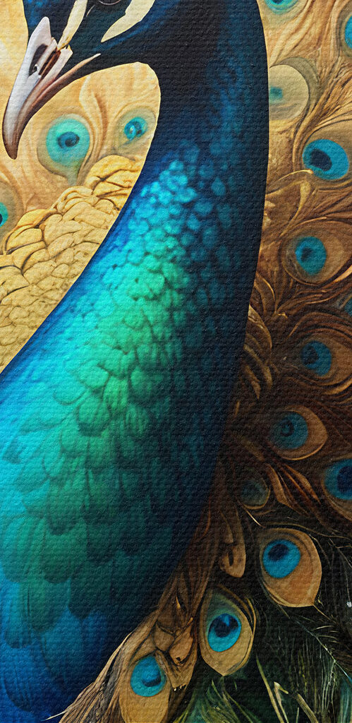 Peacock with its tail feathers spread out