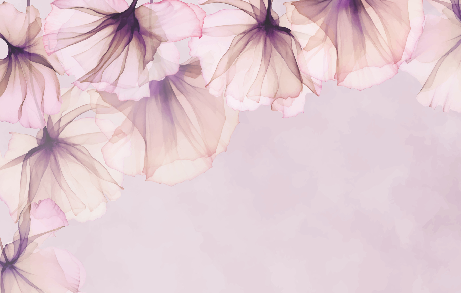 Close up of flowers Close up of flowers