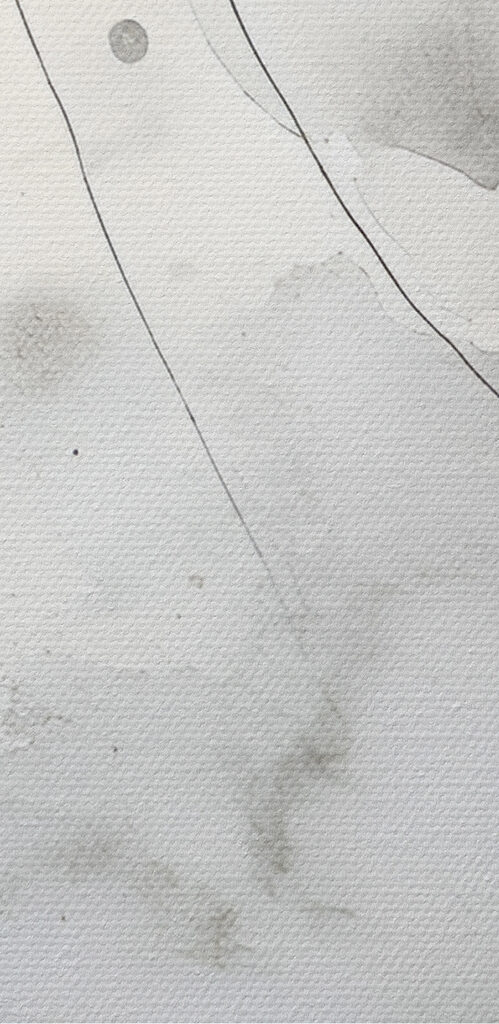 White and gray background White and gray background