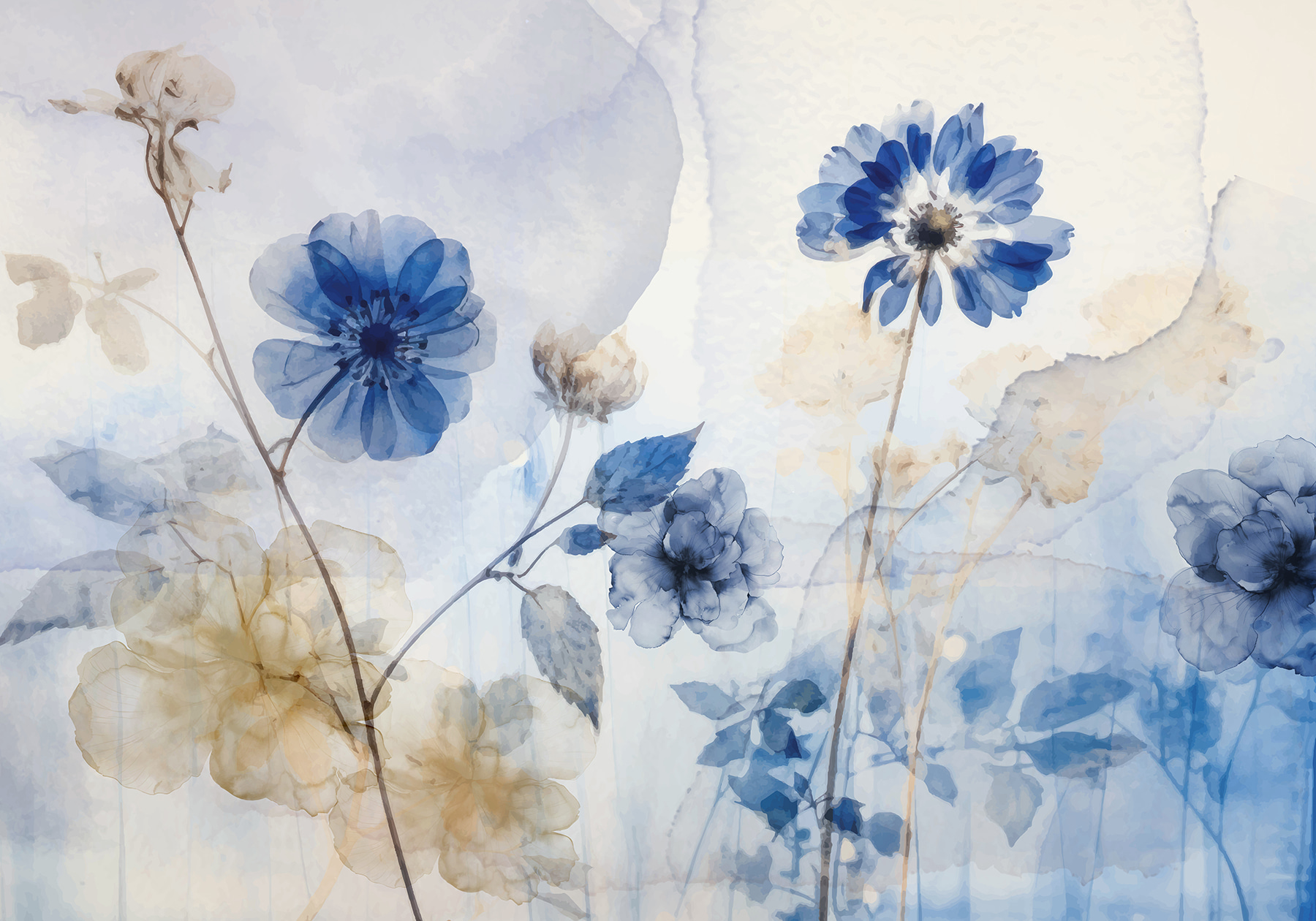 Blue and white flowers Blue and white flowers