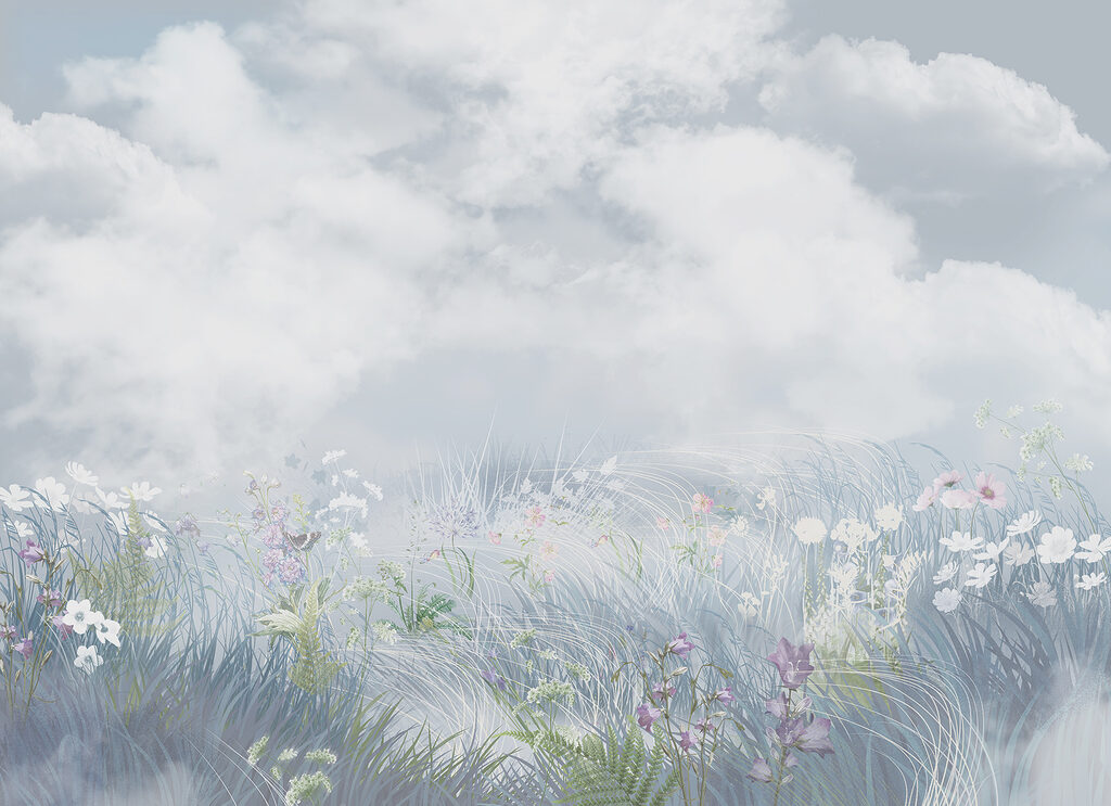 Field of flowers and grass Field of flowers and grass