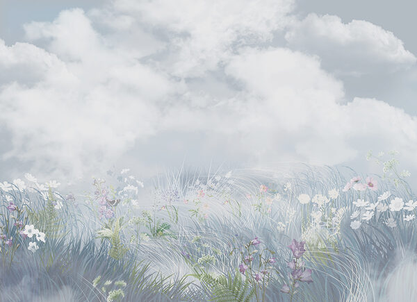 Field of flowers and grass Field of flowers and grass