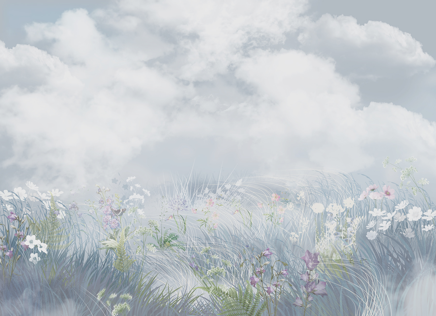 Field of flowers and grass Field of flowers and grass