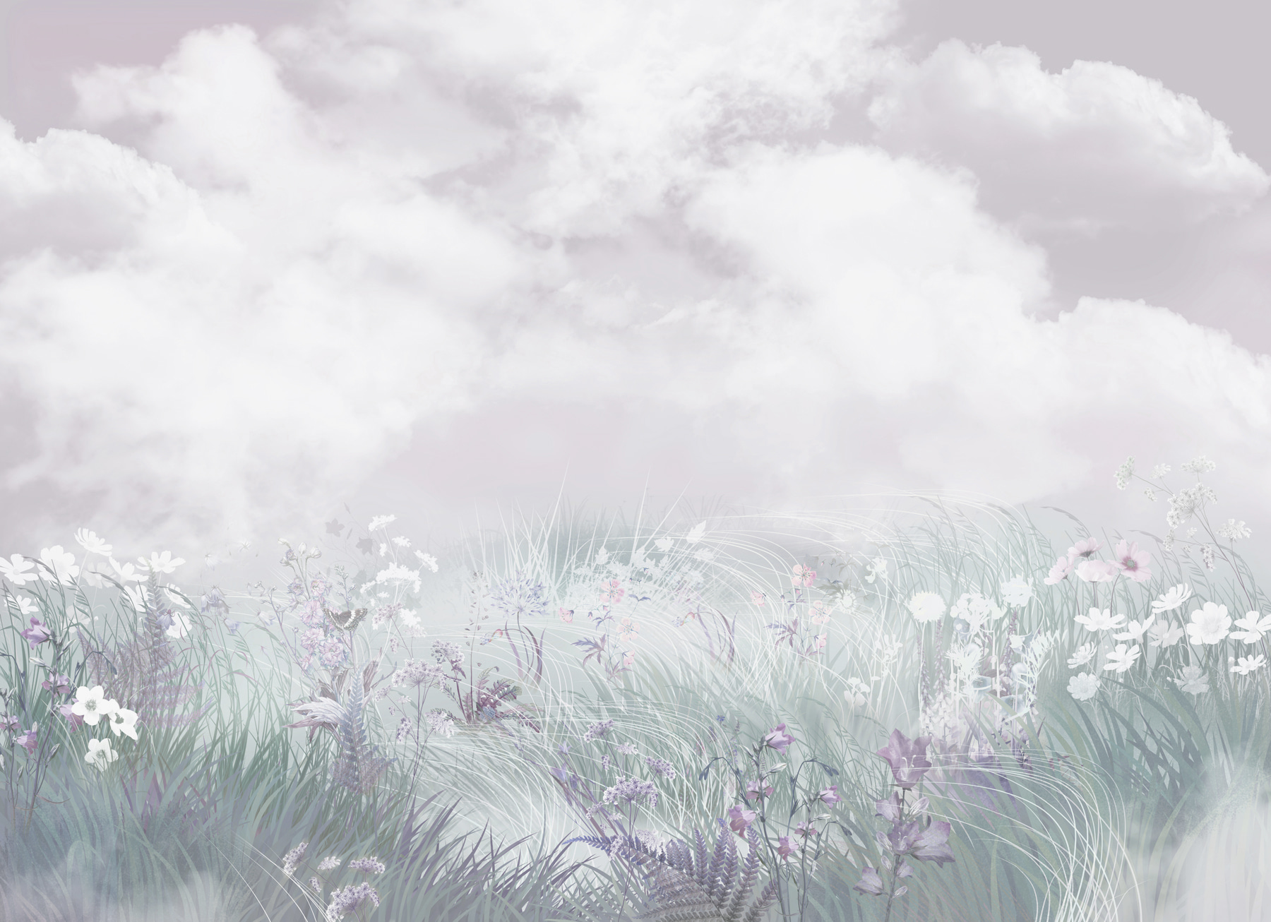 Field of flowers and grass Field of flowers and grass