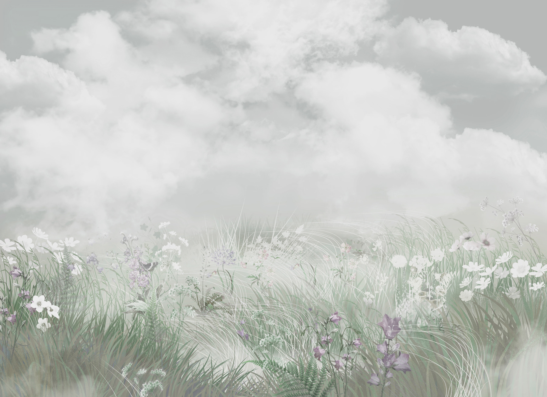 Field of grass and flowers Field of grass and flowers