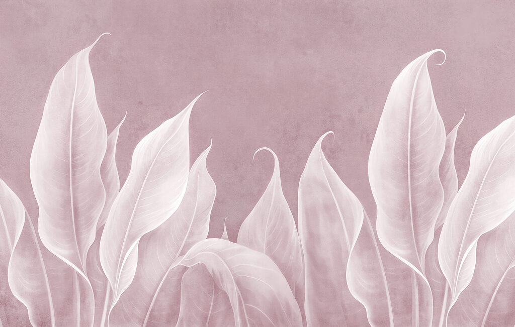 Close up of leaves