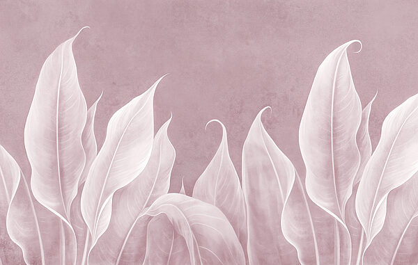 Close up of leaves