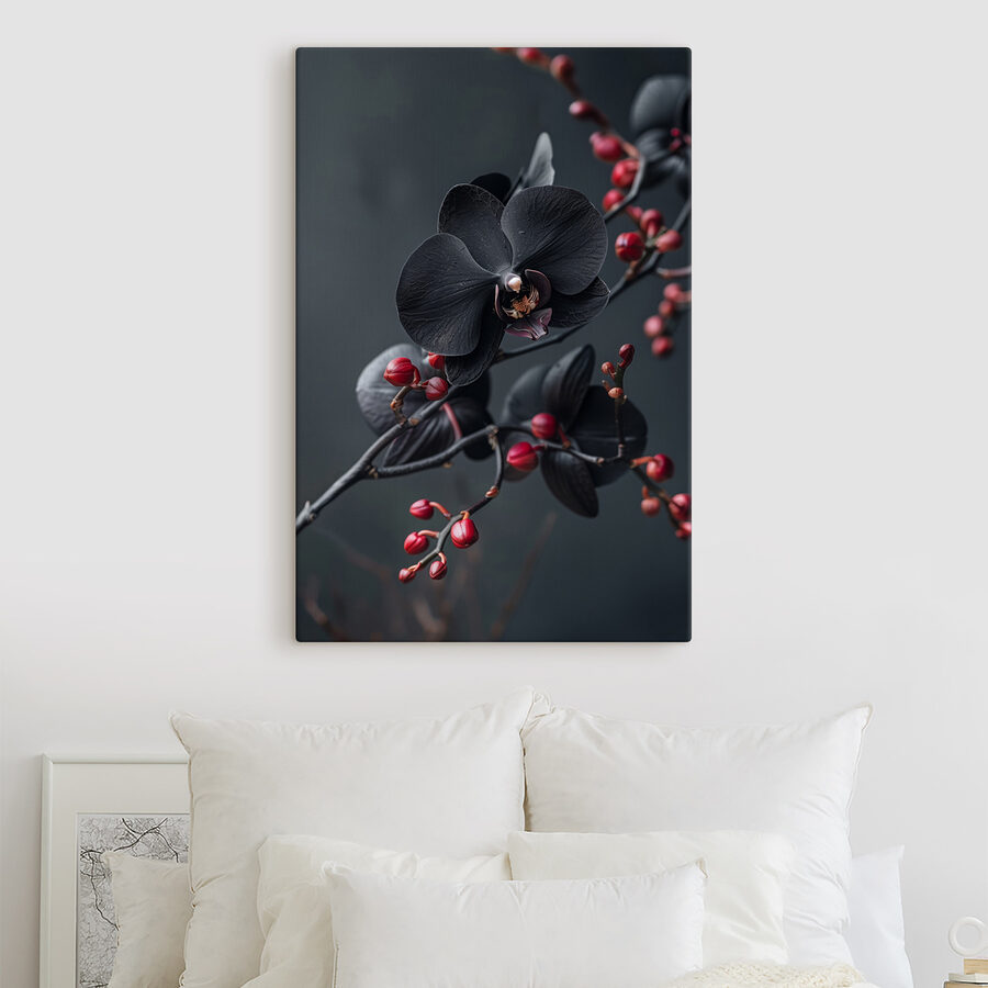 Black flower with red berries Black flower with red berries