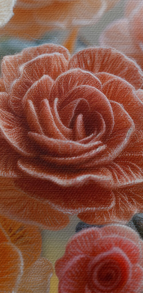 Beautiful roses in soft colors Beautiful roses in soft colors