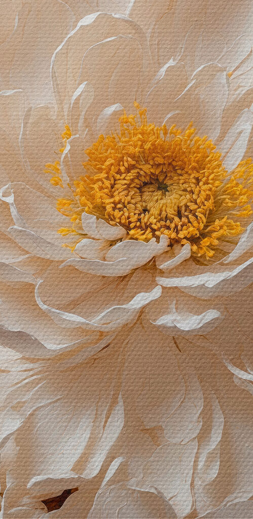 White flower with a yellow center