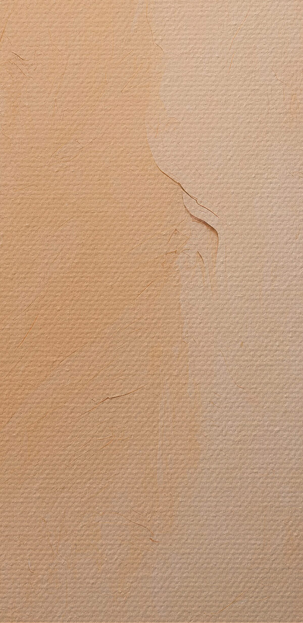 Detail zdi Detail zdi