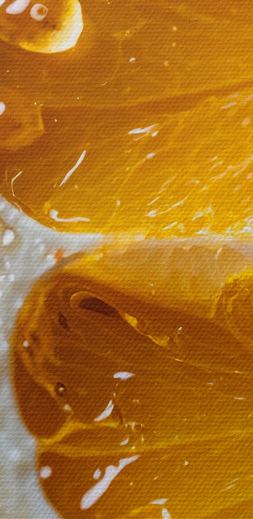 Detail plátku pomeranče