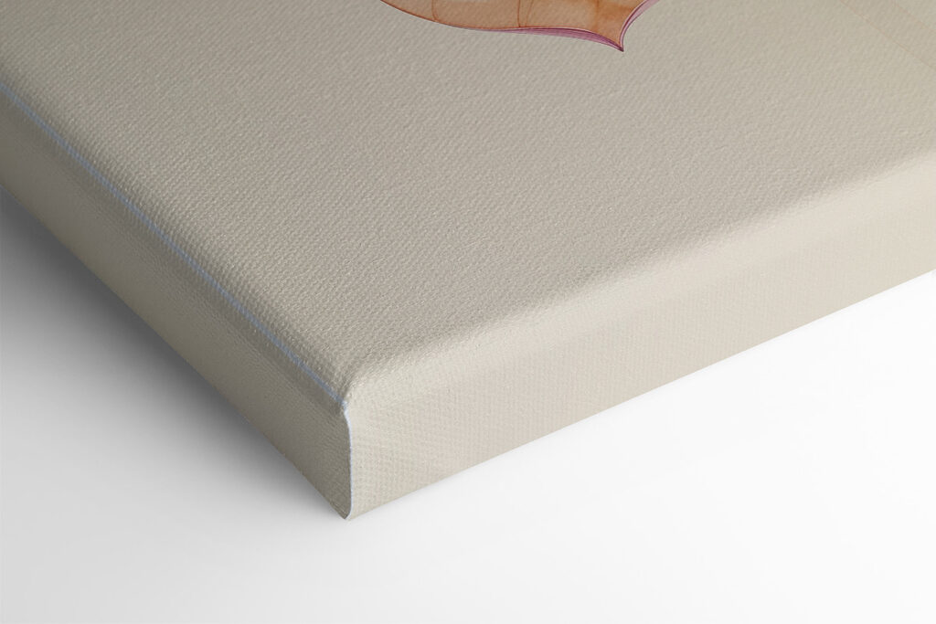 Close up of a flower