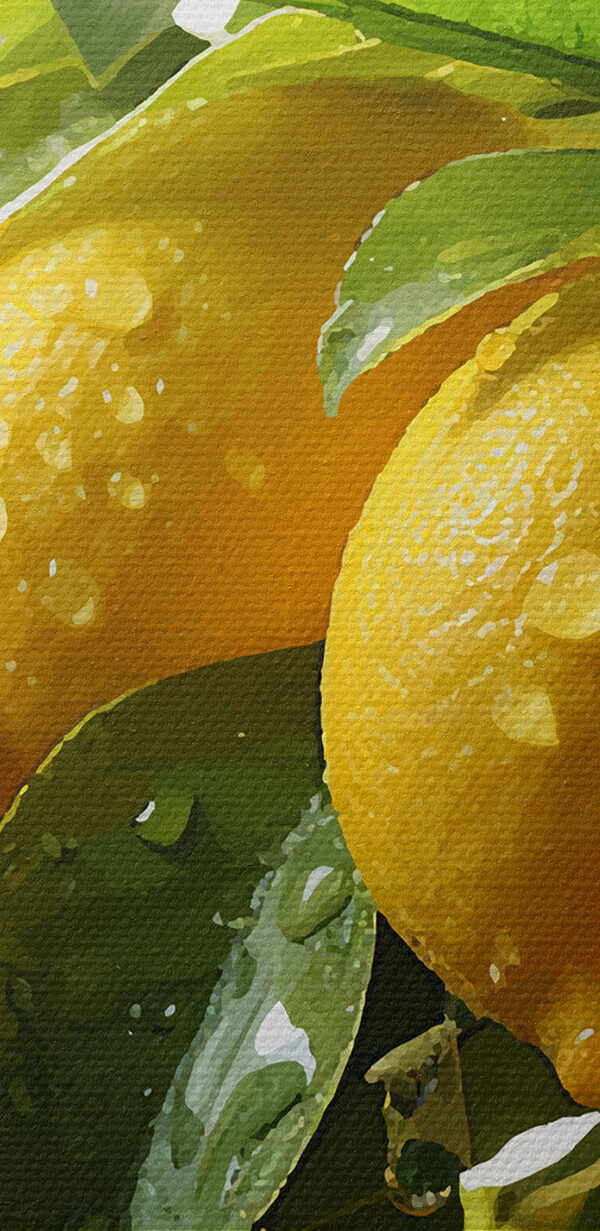 Skupina citronů na stromě Skupina citronů na stromě