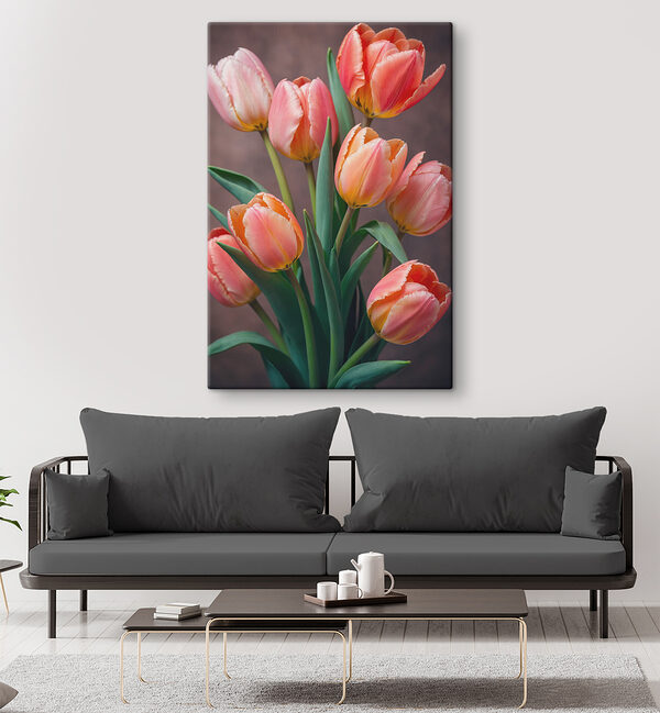 Skupina růžových a žlutých tulipánů Skupina růžových a žlutých tulipánů