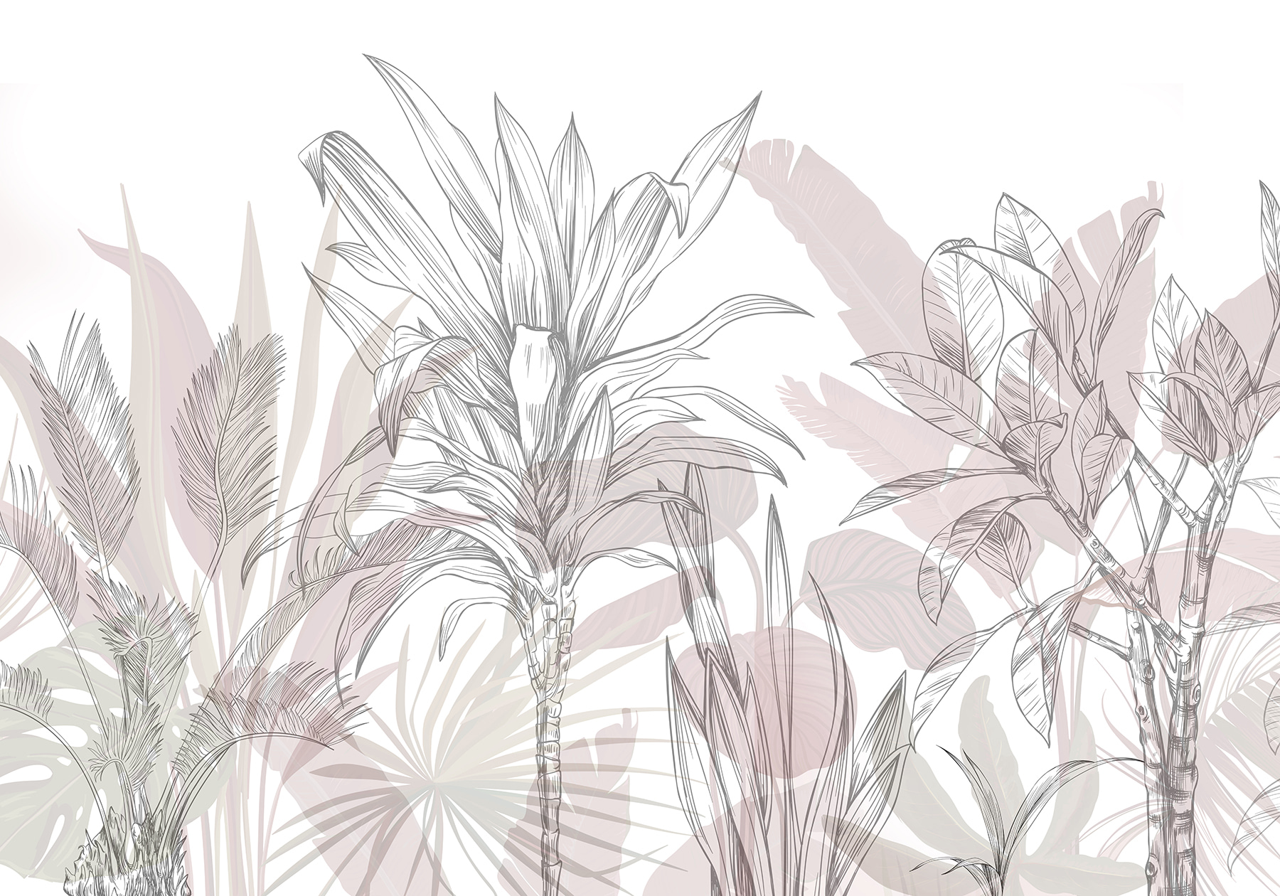 Close up of plants