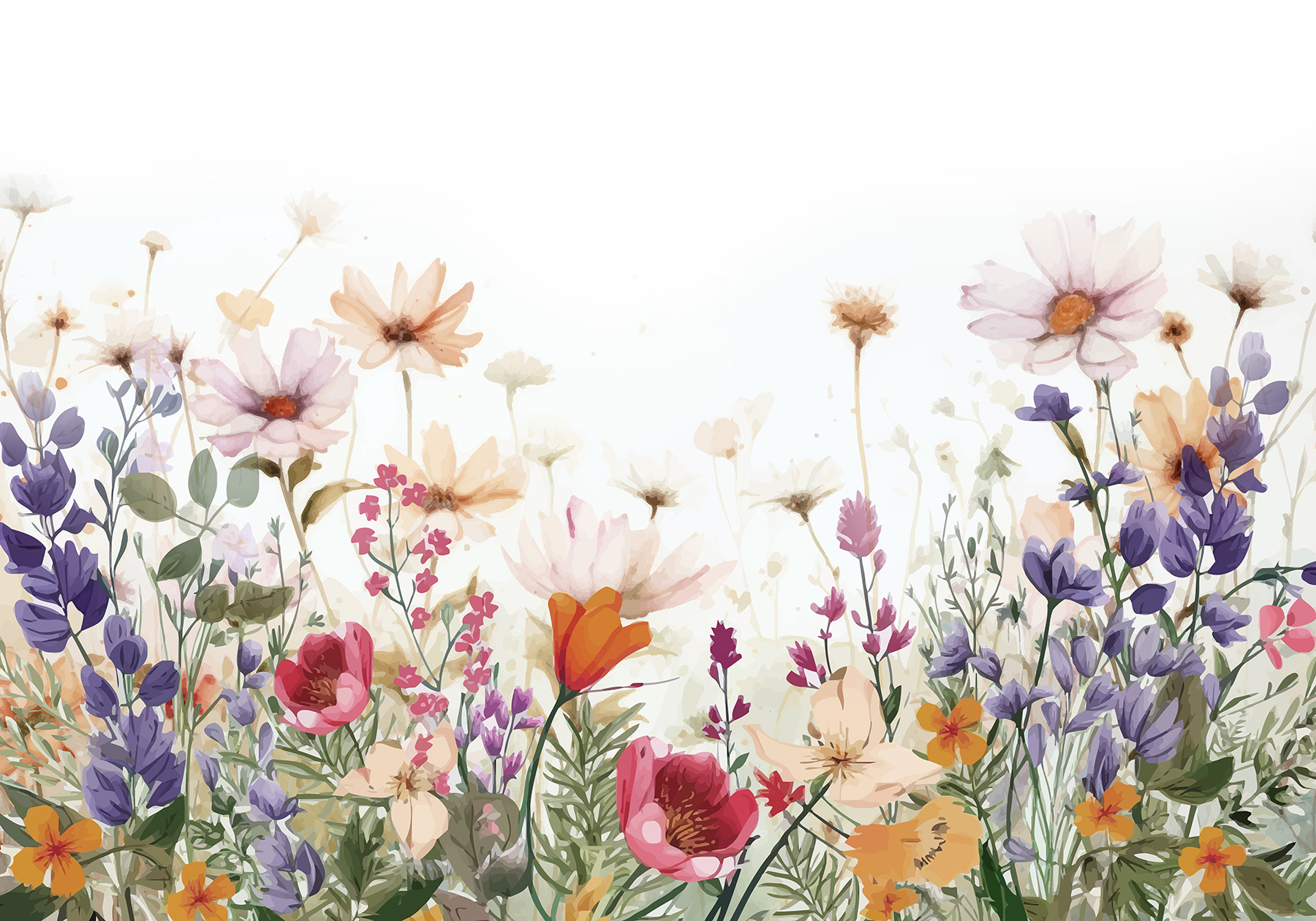 Group of flowers on a white background