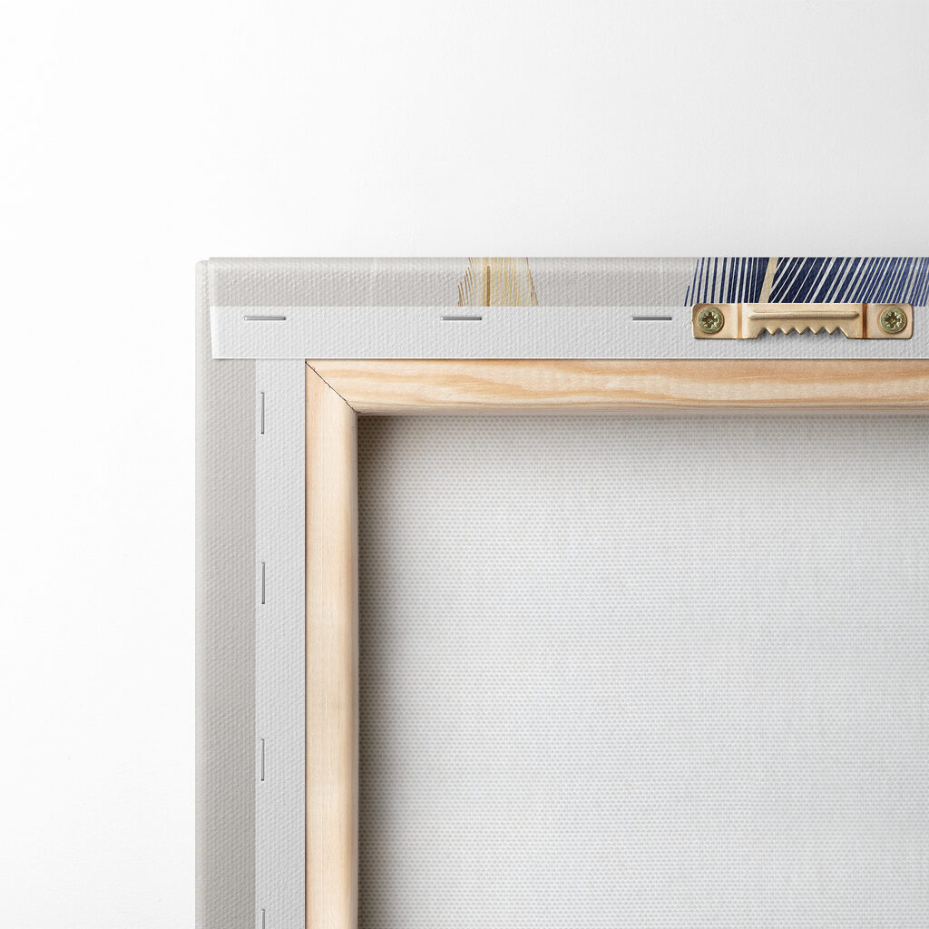 Close up of feathers