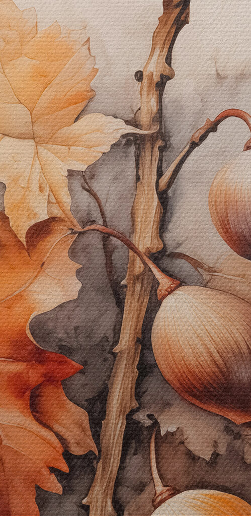 Acorns and leaves on a branch with a white background Acorns and leaves on a branch with a white background