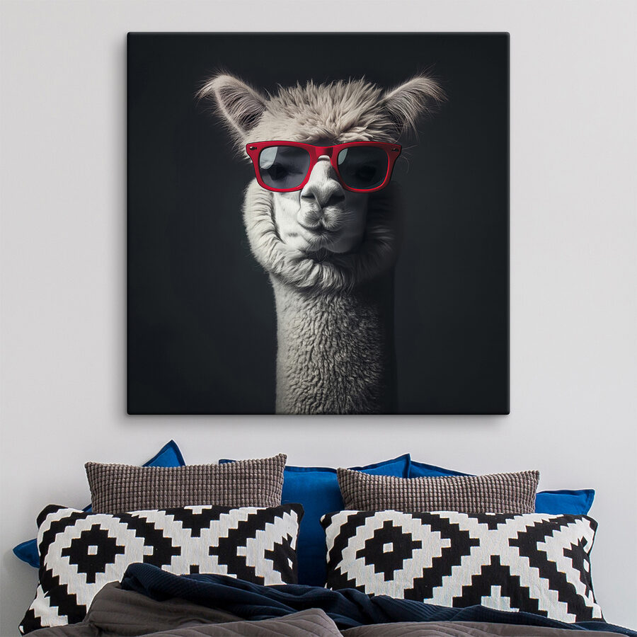Lama s červenými slunečními brýlemi