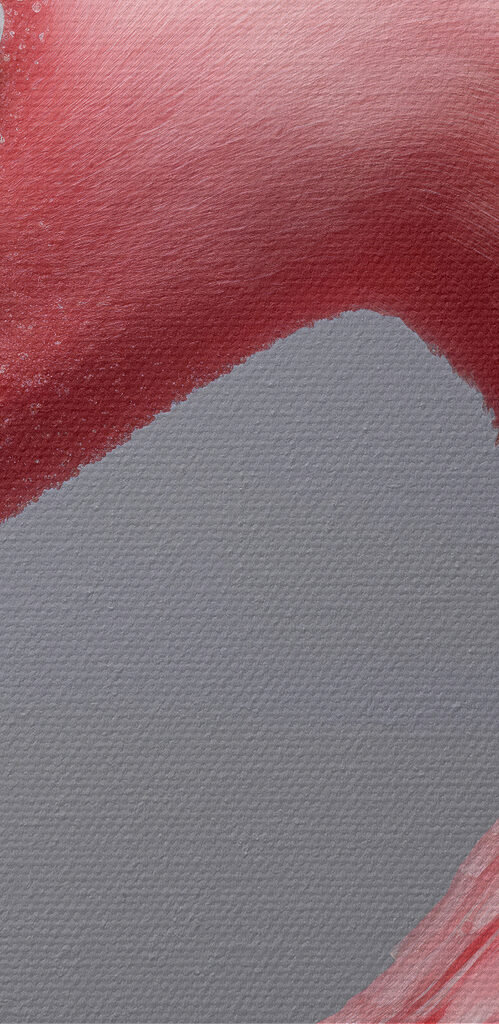 Close up of a pink flamingo