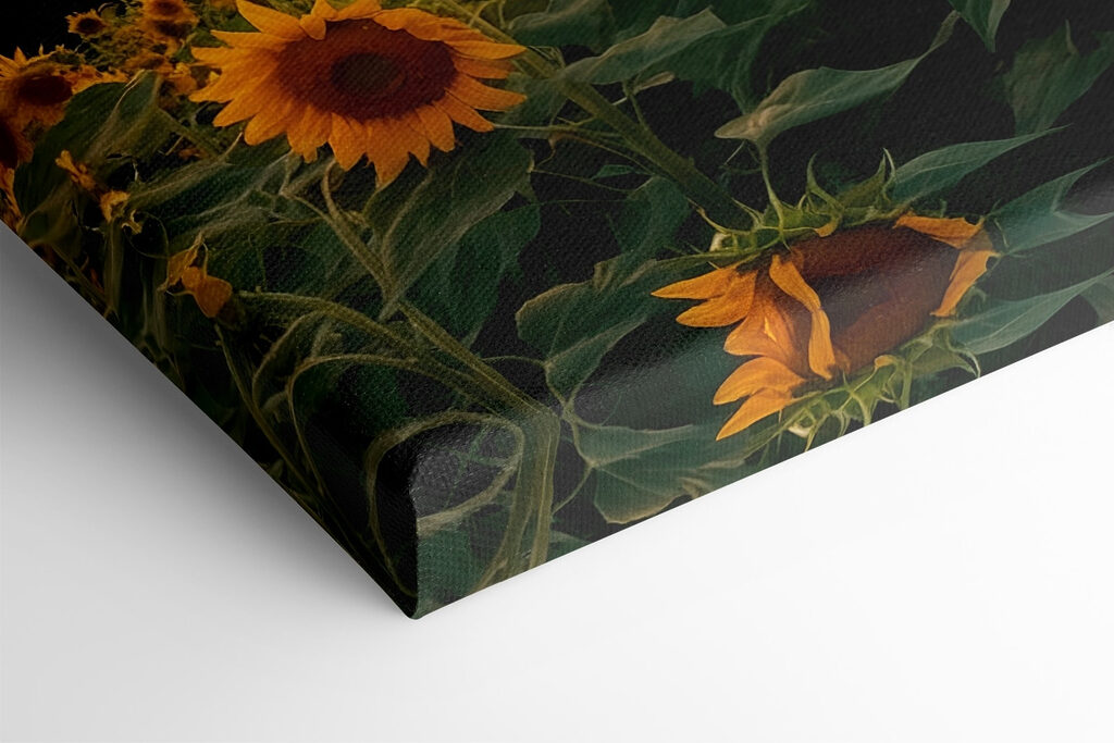 Field of sunflowers in the mountains Field of sunflowers in the mountains