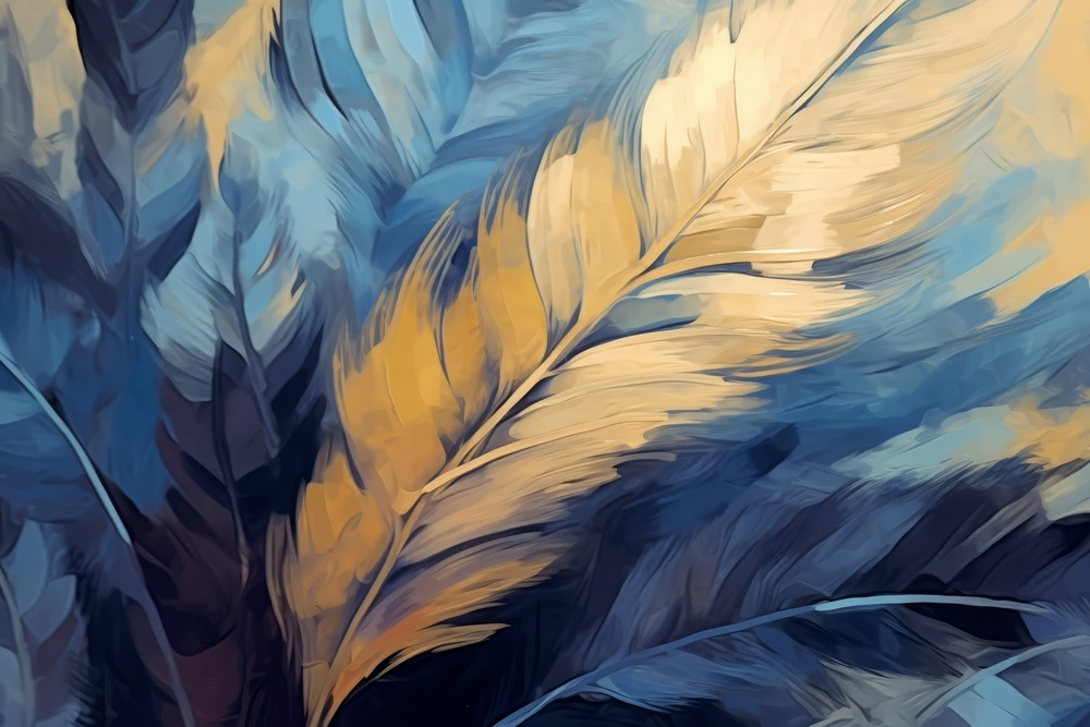 Close up of feathers Close up of feathers