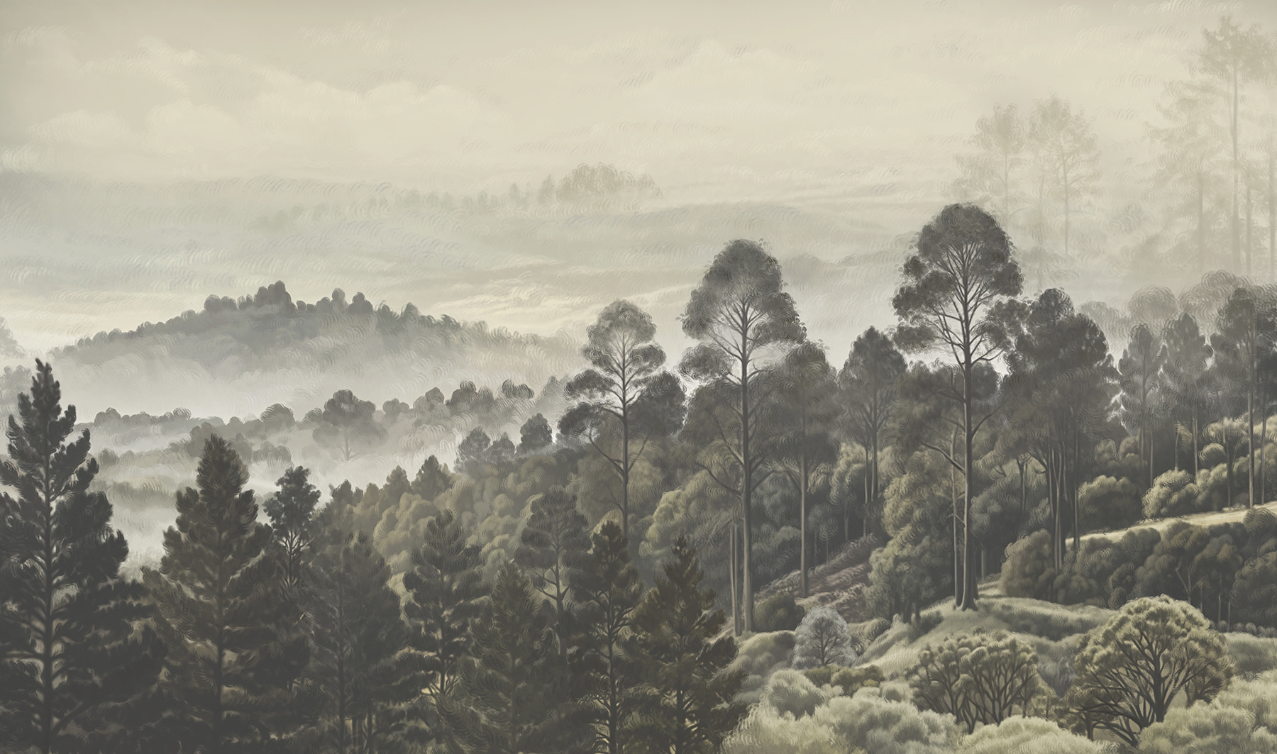 Landscape of trees and fog