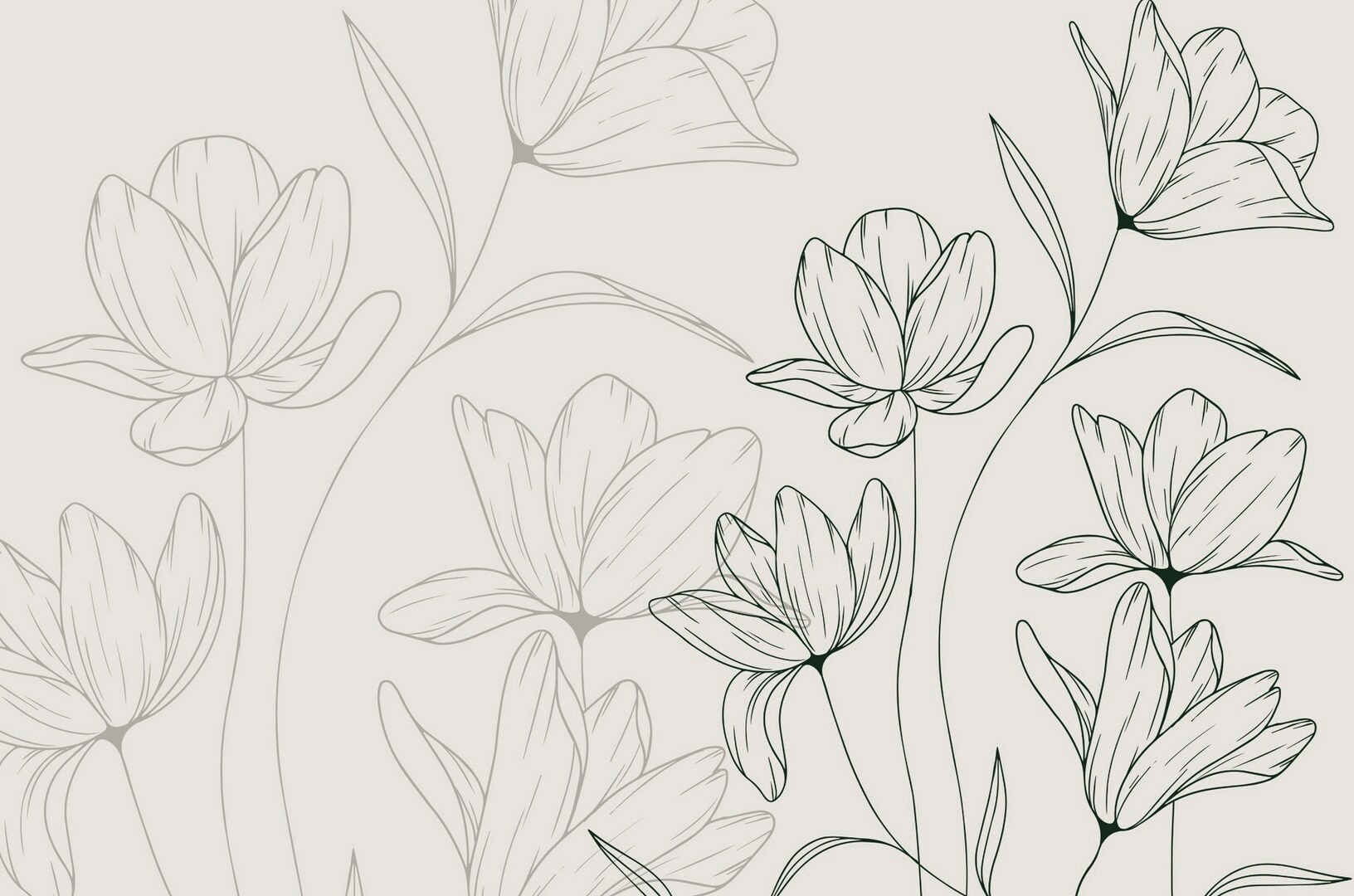 Drawing of flowers on a white background Drawing of flowers on a white background