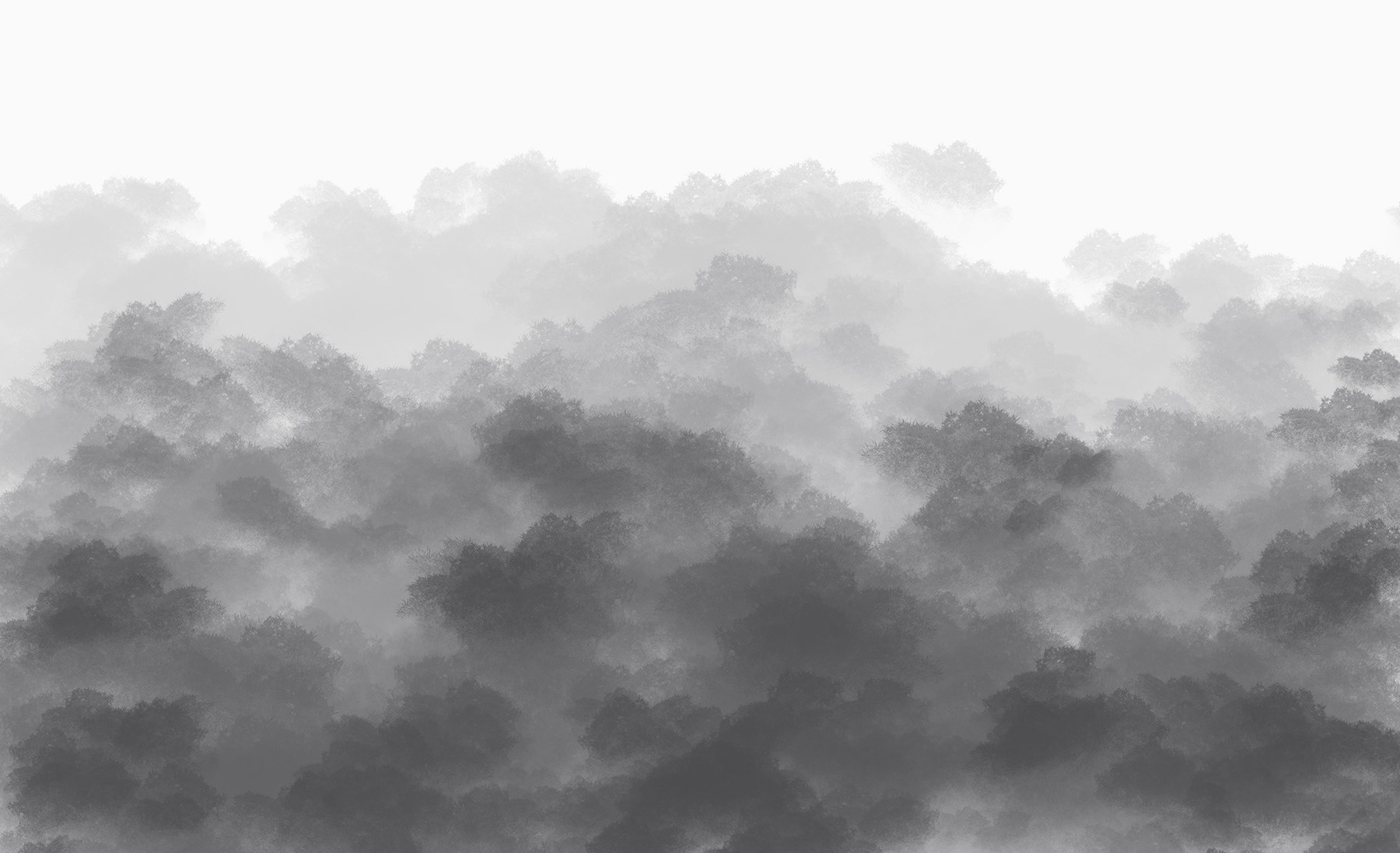 Black and white image of clouds