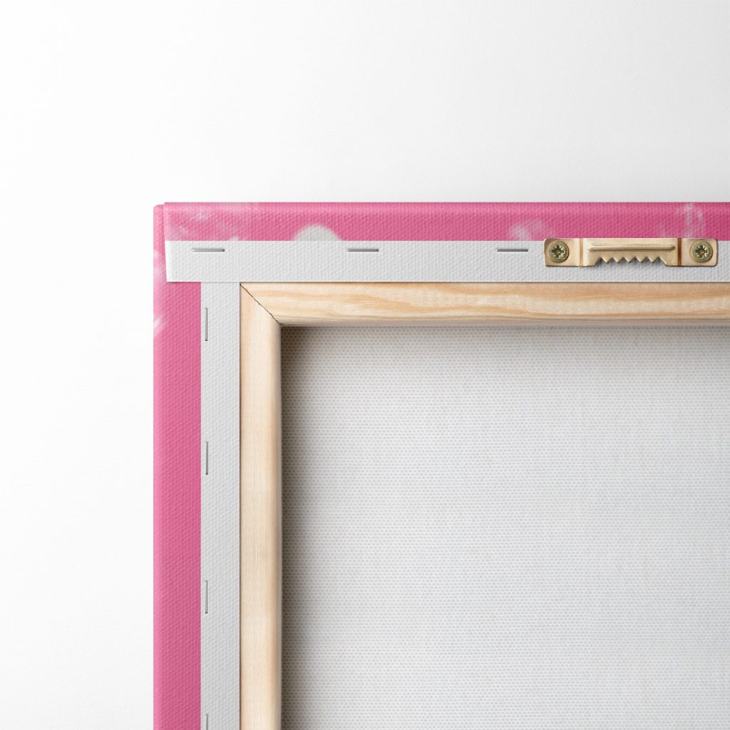 Rabbit wearing pink glasses