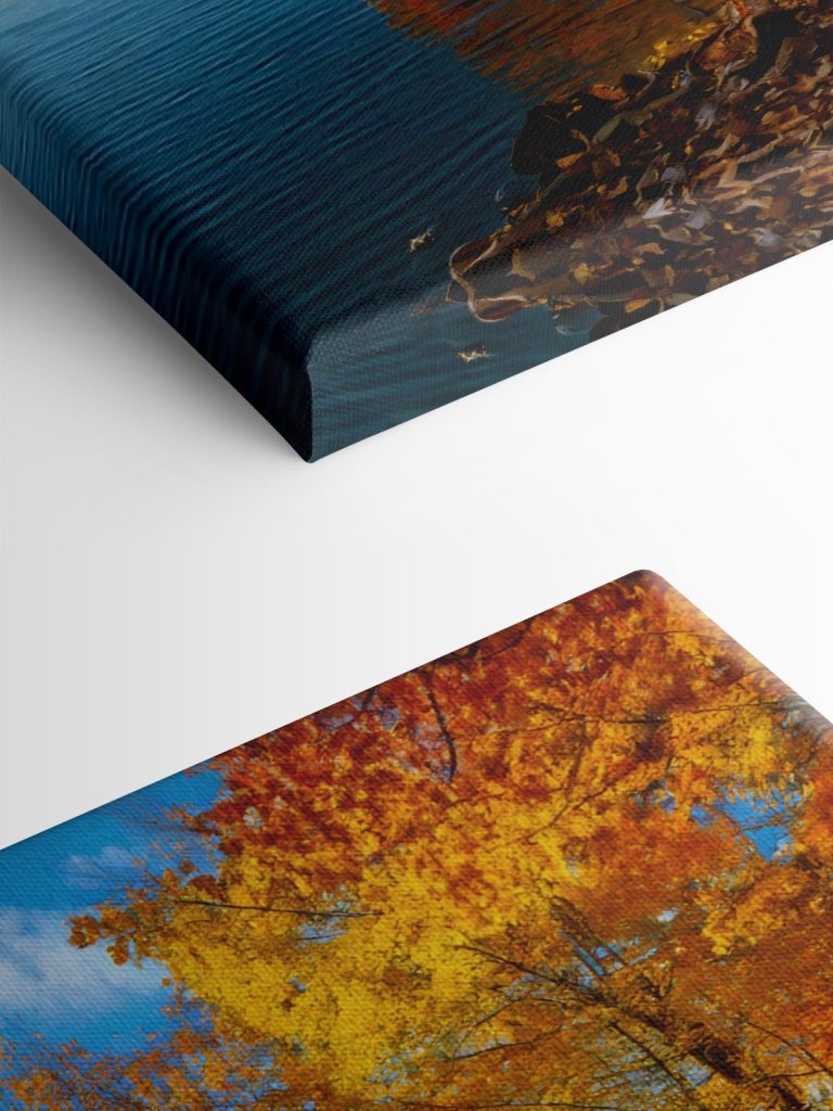 Lake with trees and leaves on the ground
