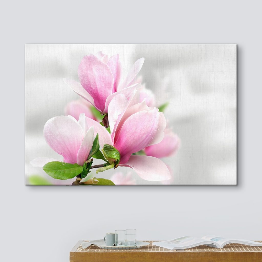 Pink Magnolia Blossoms in Bloom Pink Magnolia Blossoms in Bloom