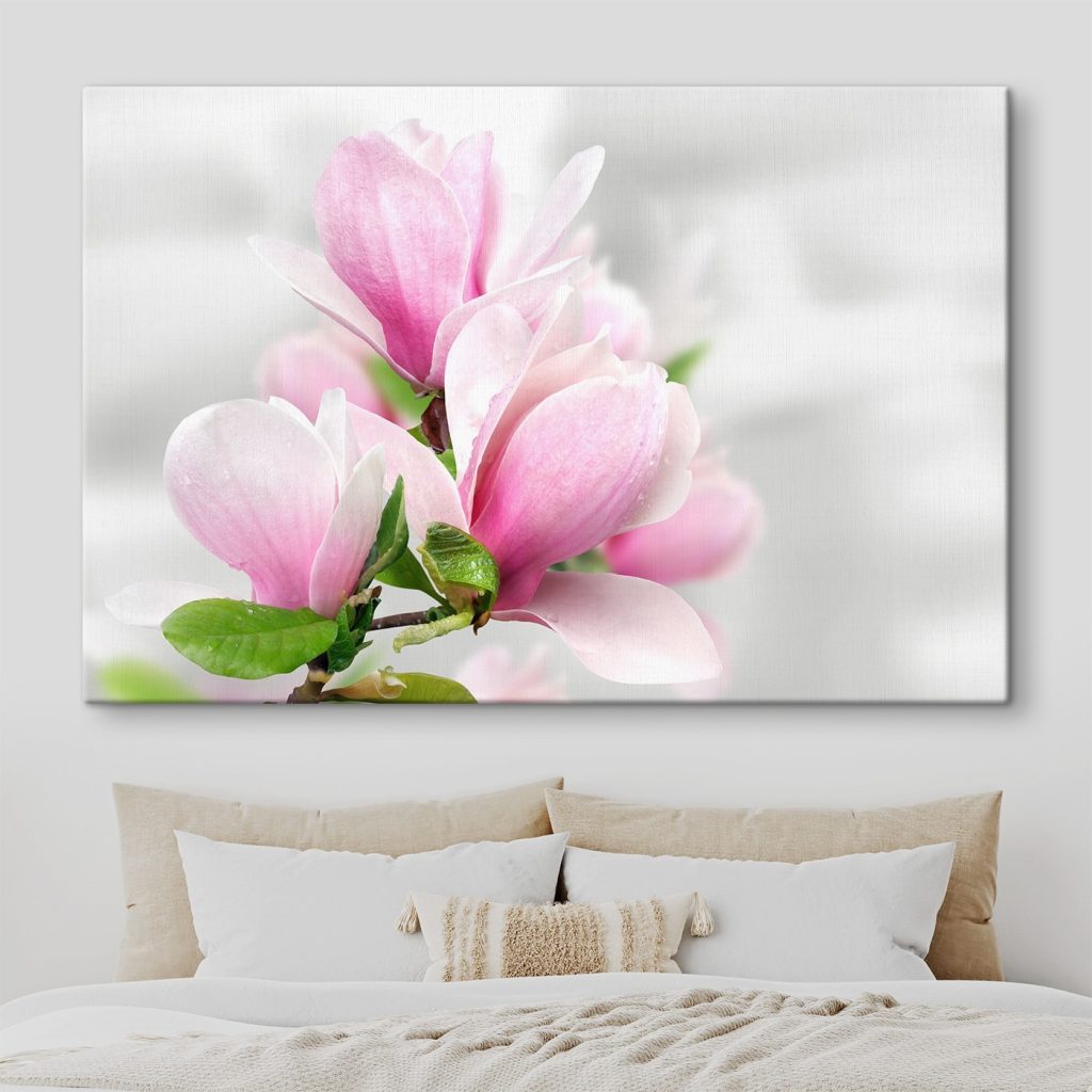 Pink Magnolia Blossoms in Bloom Pink Magnolia Blossoms in Bloom