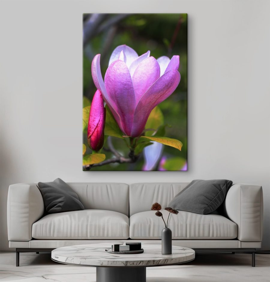 Magnolia: Příroda’půvabný květ