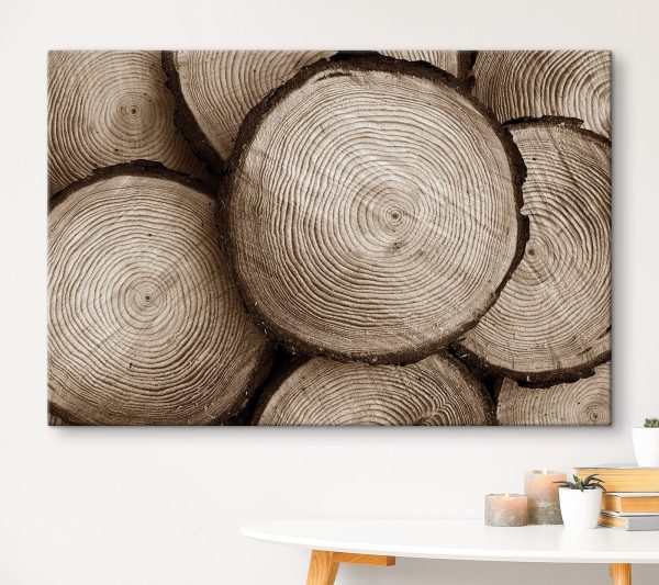 Skupina pokácených stromů Obraz Skupina pokácených stromů