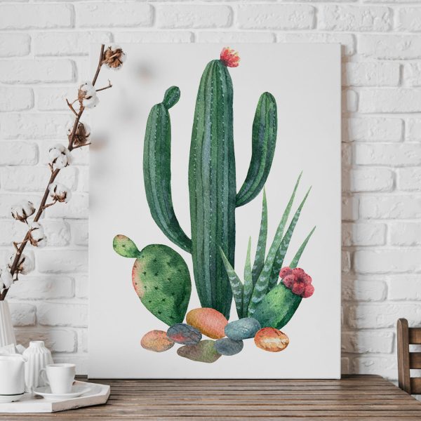 Watercolor of a cactus and rocks Watercolor of a cactus and rocks