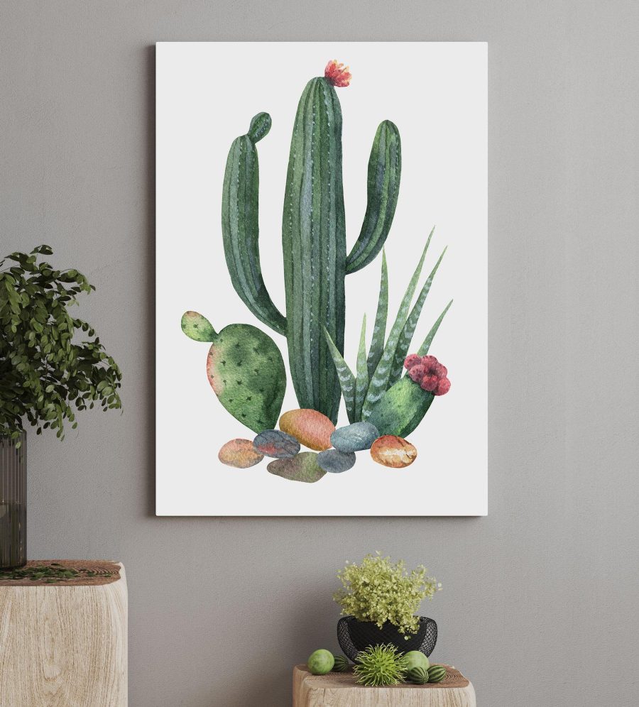 Watercolor of a cactus and rocks Watercolor of a cactus and rocks