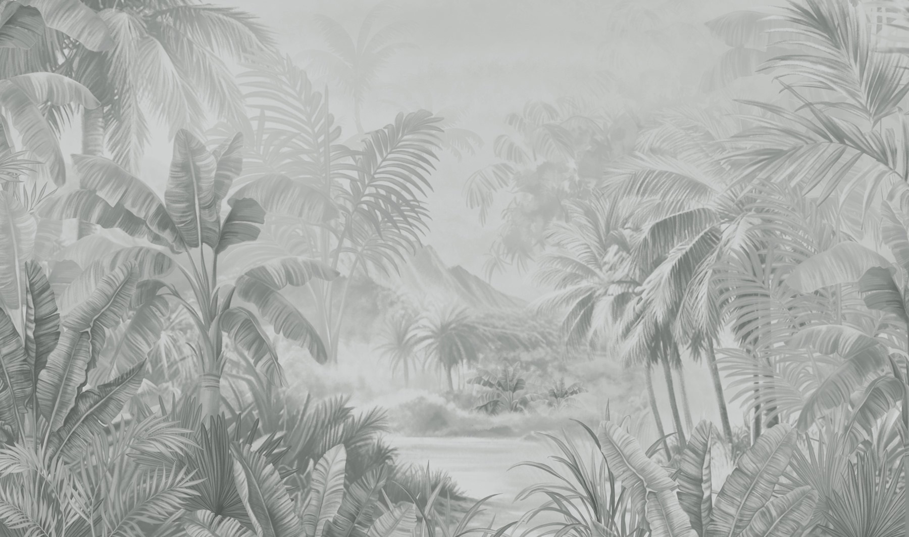 Greyscale image of a tropical forest