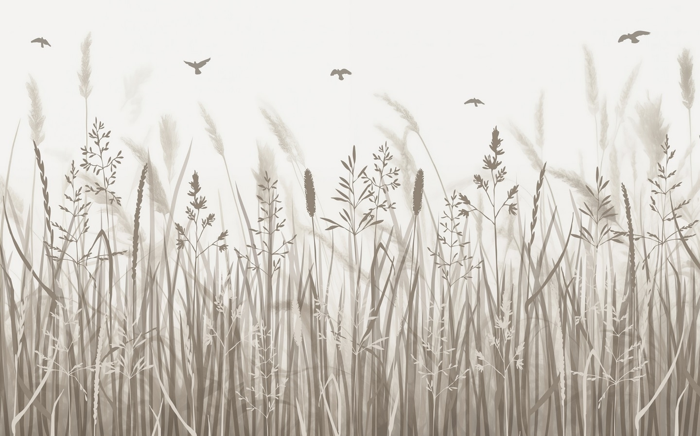 w02119p - Pole s trávou a poletujícími ptáky - tegory