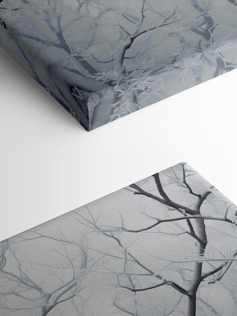 Tree branches with snow on them