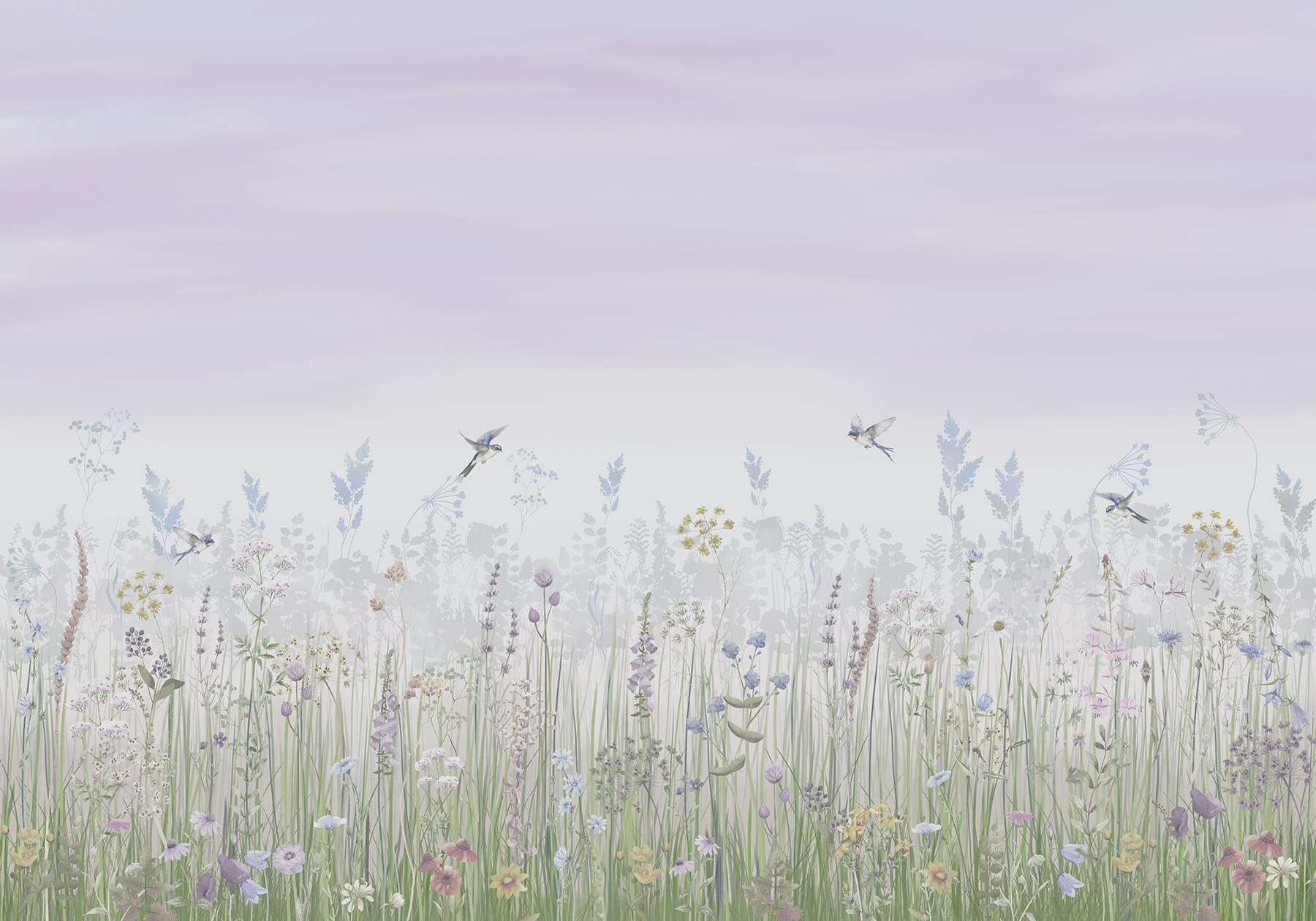 Field of flowers and birds