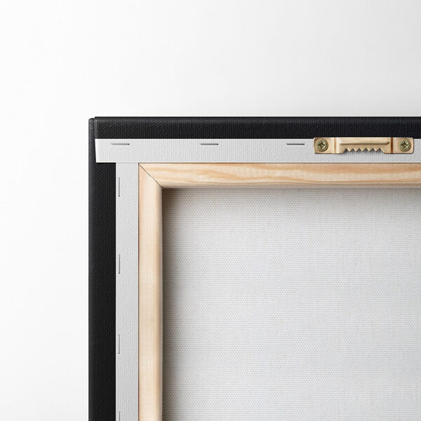 Jellyfish with long tentacles Jellyfish with long tentacles