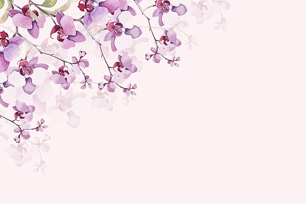 Jemné orchideje v jemných pastelových odstínech Jemné orchideje v jemných pastelových odstínech